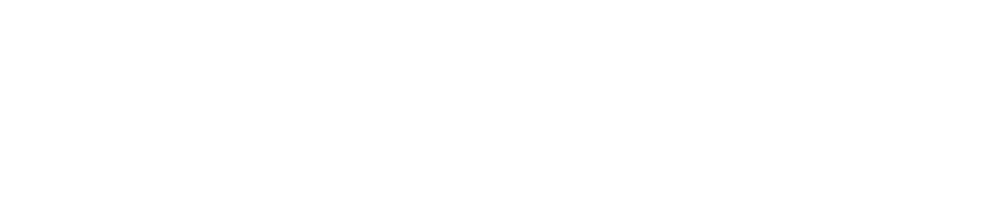 MINET SA